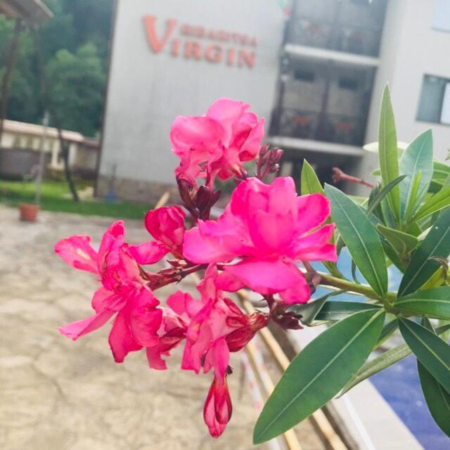 Family Hotel Virgin Ribarița Exterior foto